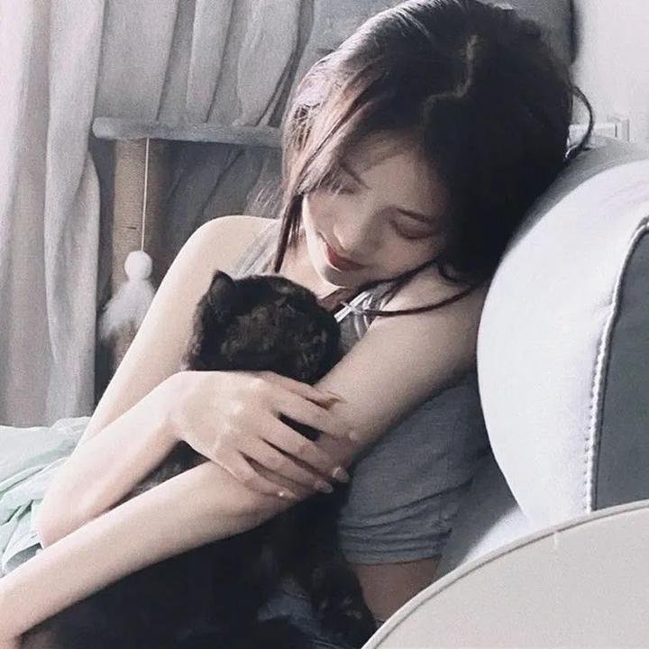偷懒的猫